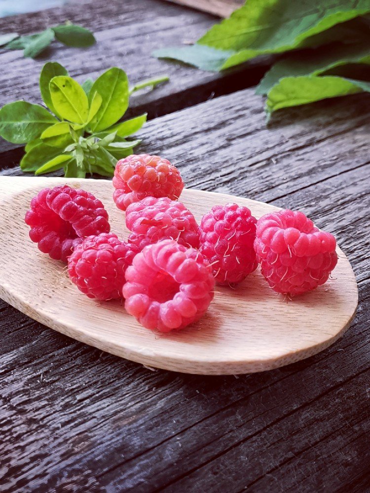 Photograph by Светлана Перминова