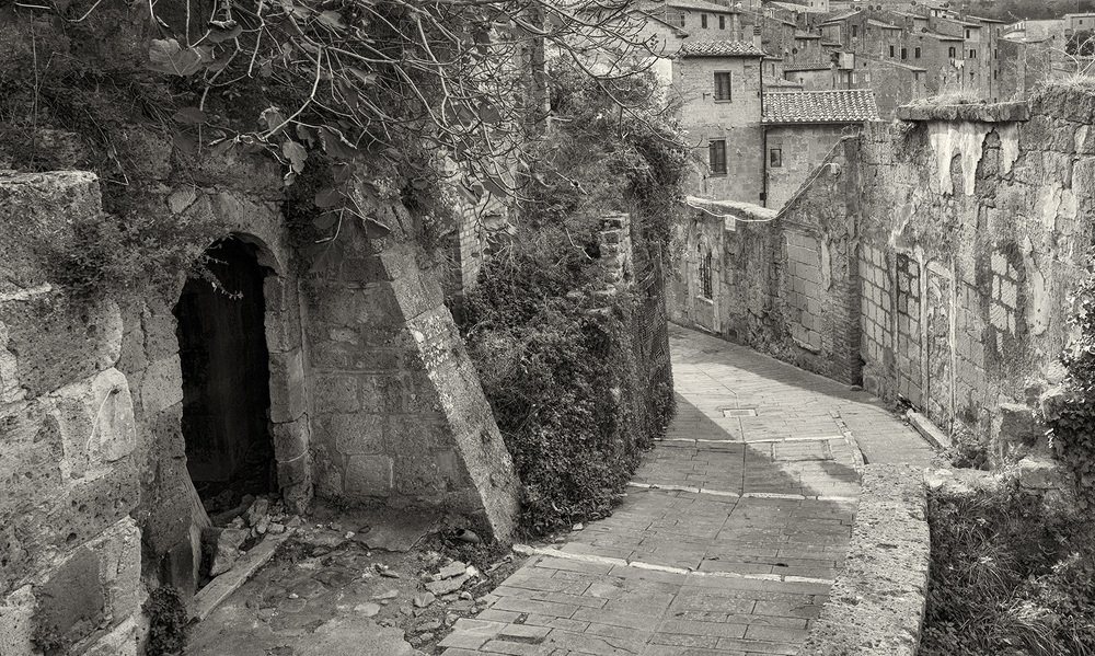 Фотография автора Сергей Сынтин