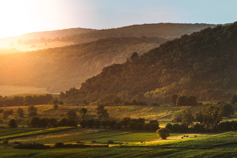 Photograph by Ban Istvan