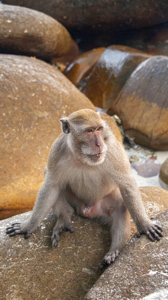 Photograph by Сергей Малеев