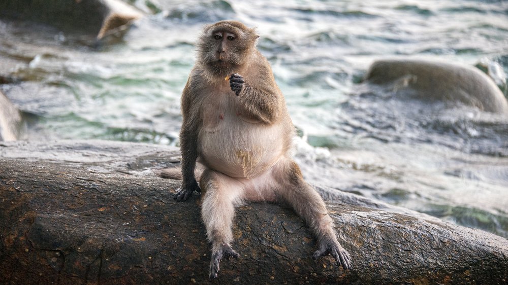 Photograph by Сергей Малеев