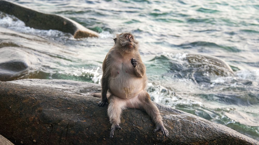 Photograph by Сергей Малеев