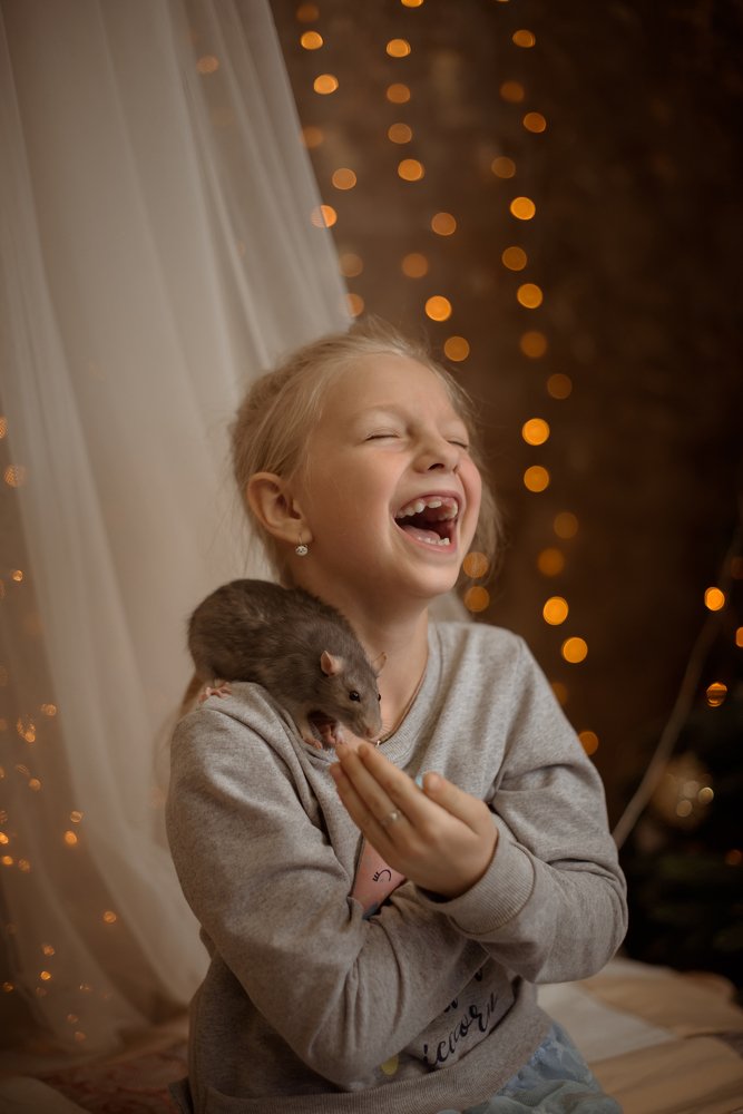 Неожиданный подарок