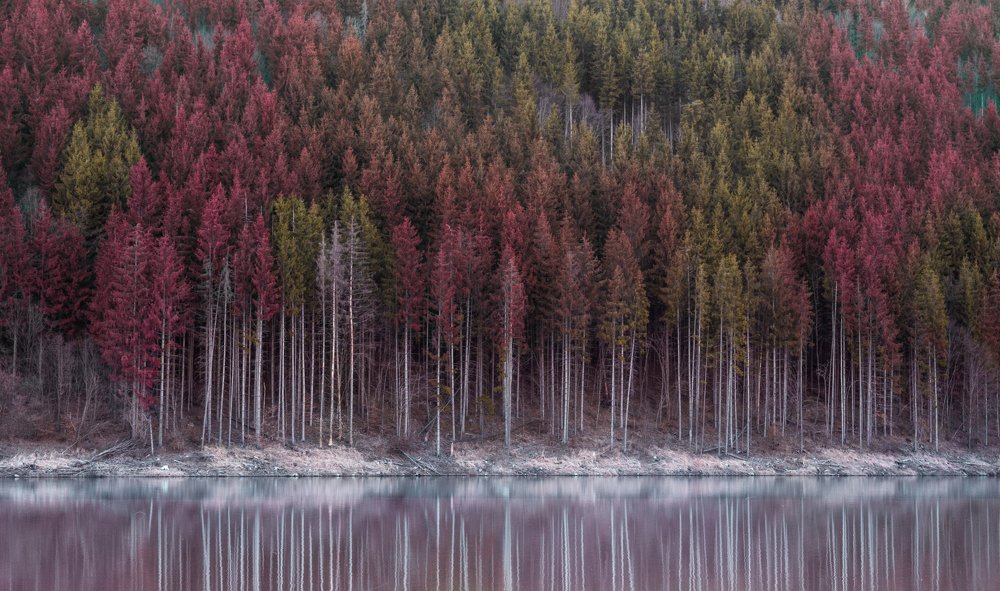 Photograph by Ban Istvan