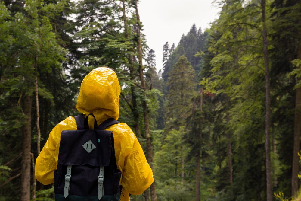 Photograph by Артем Карлов