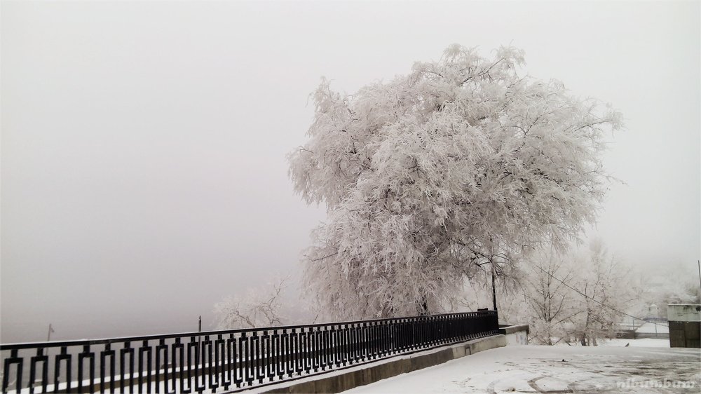 Фотография автора Евгений