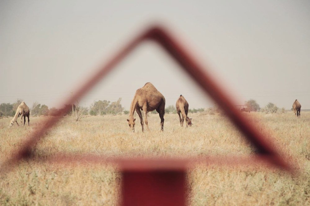 Photograph by Ghazal Abbasi