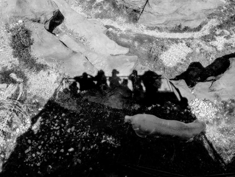 Photograph by Татьяна Тронина