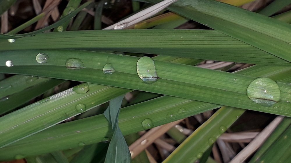 Photograph by Марина