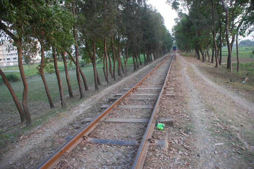 Photograph by  MD DIDARUL ALAM CHY