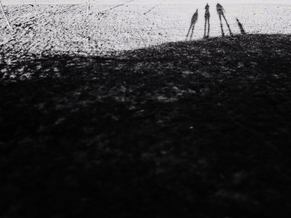 Photograph by Татьяна Тронина
