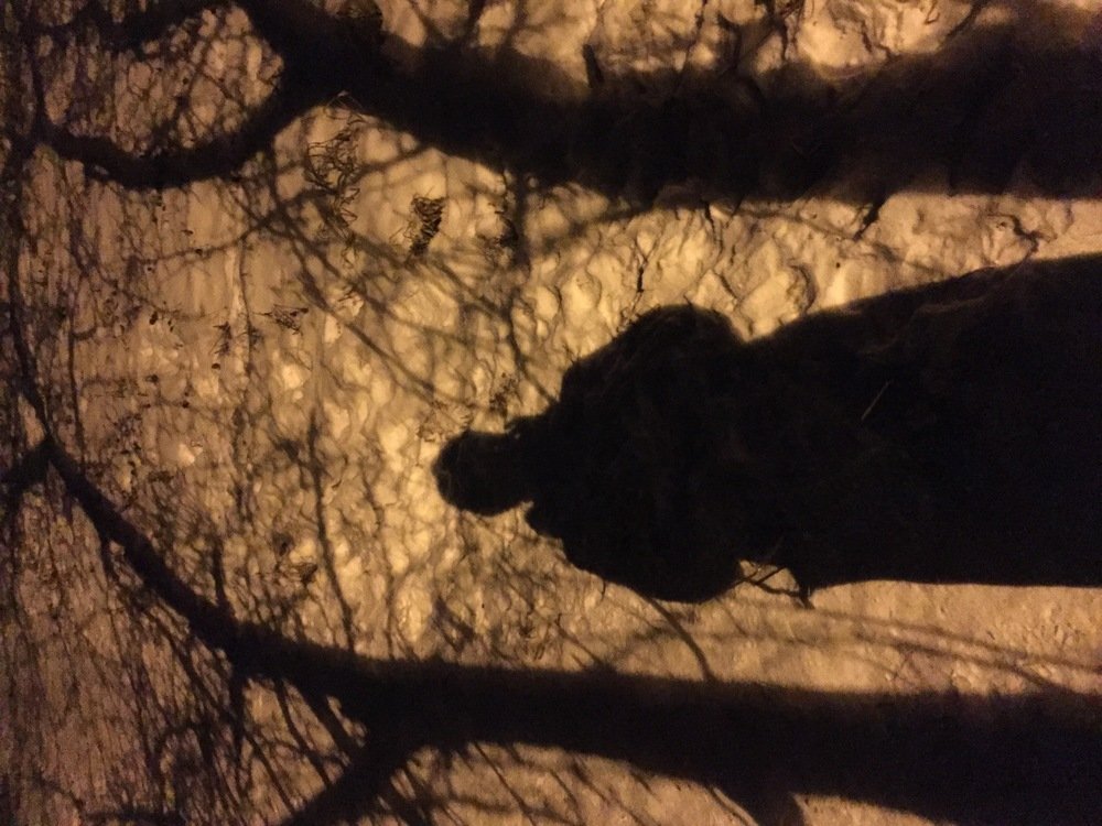 Photograph by Татьяна Гуськова