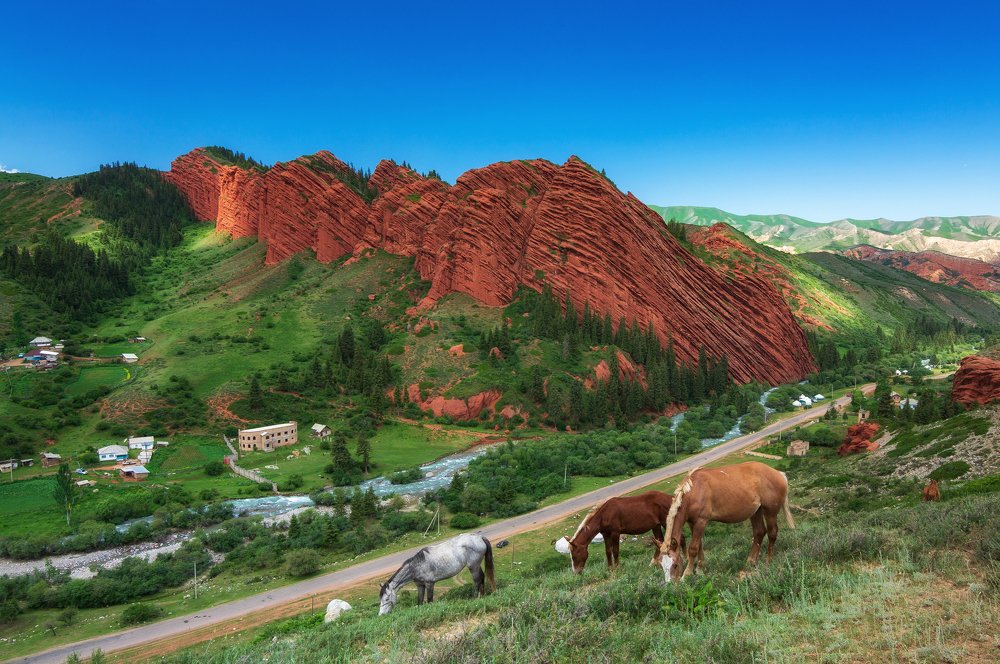 Лошадиный рай