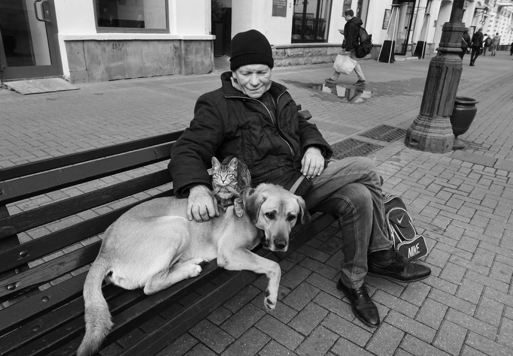 Photograph by Василий Чекорин