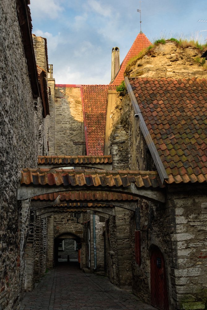 Photograph by Viktoria Alaküla