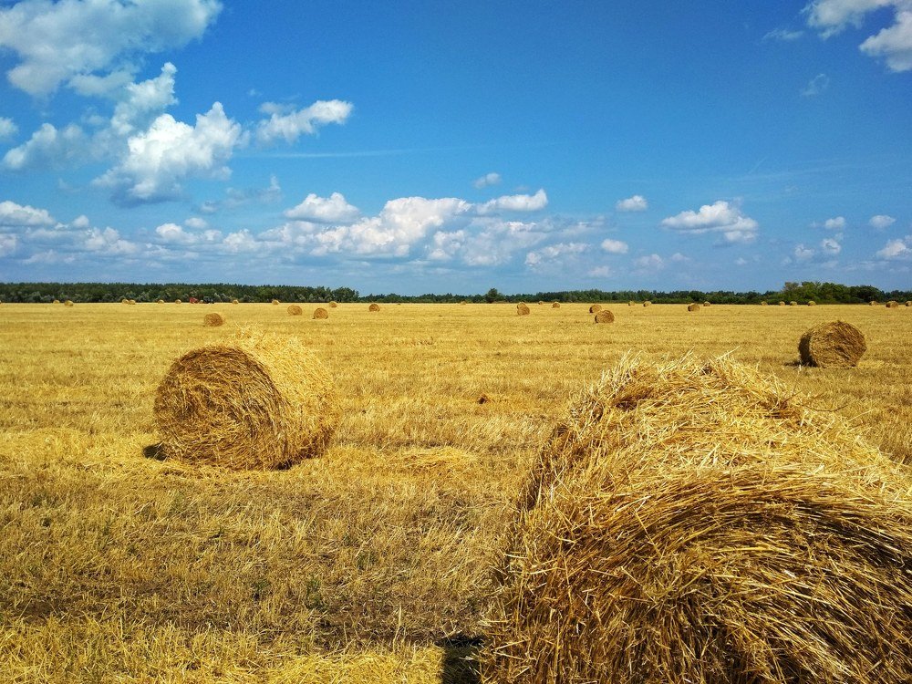 Photograph by Артем Карлов