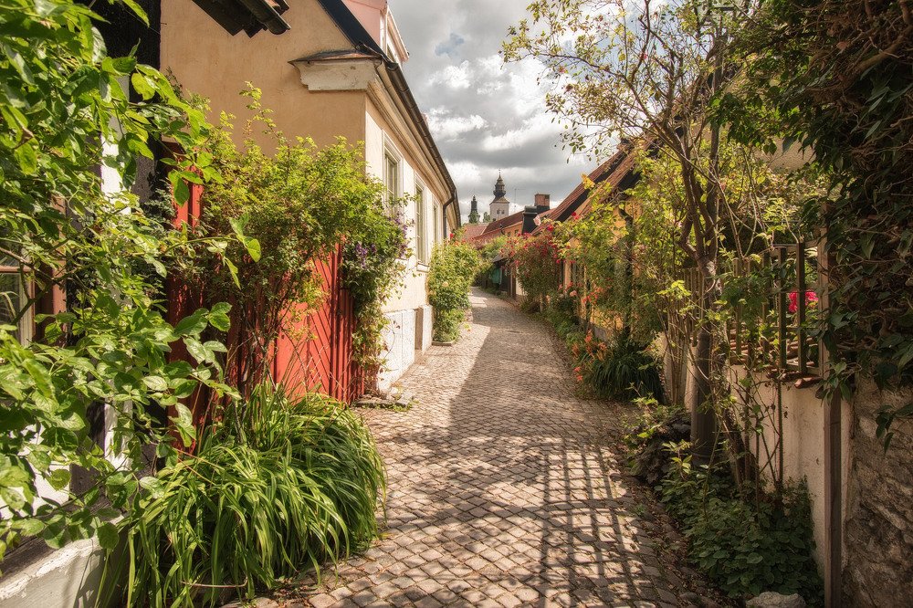 Photograph by Viktoria Alaküla