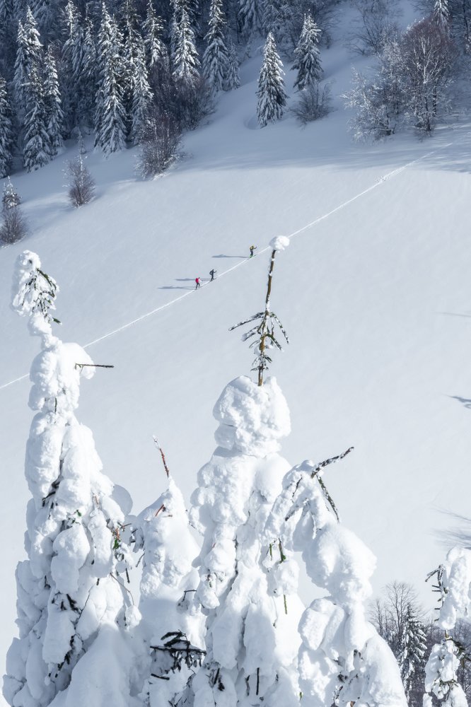 Photograph by Frantisek