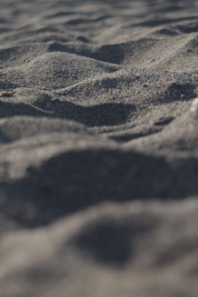 Photograph by Елена Хорошильцева