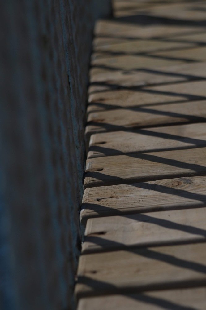 Photograph by Елена Хорошильцева