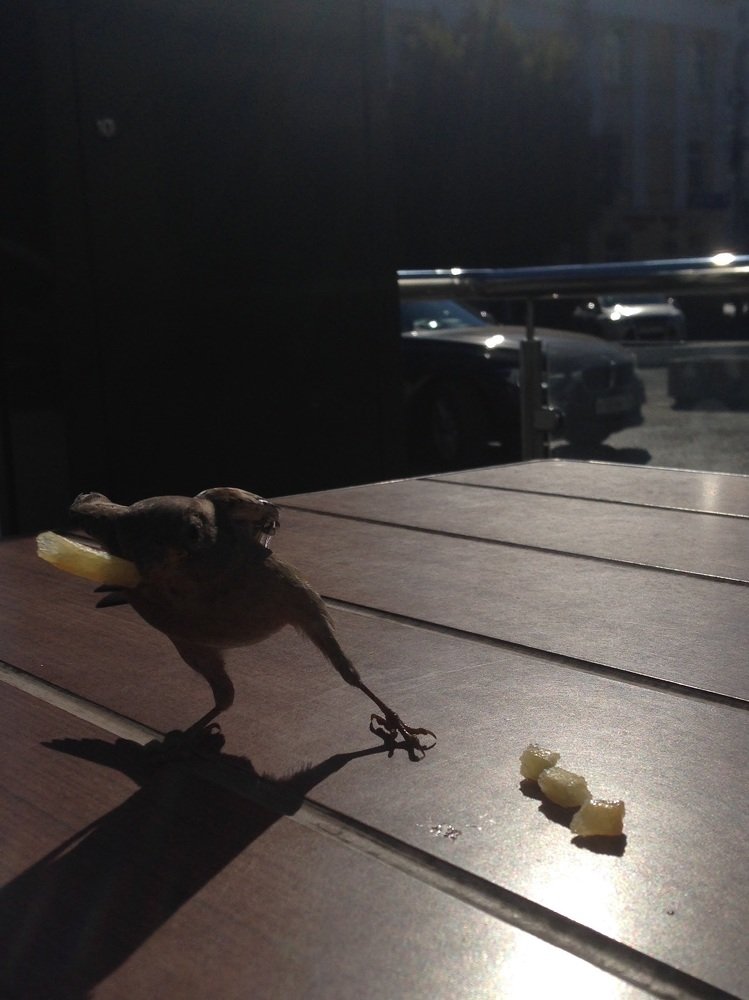 Photograph by Елена Хорошильцева