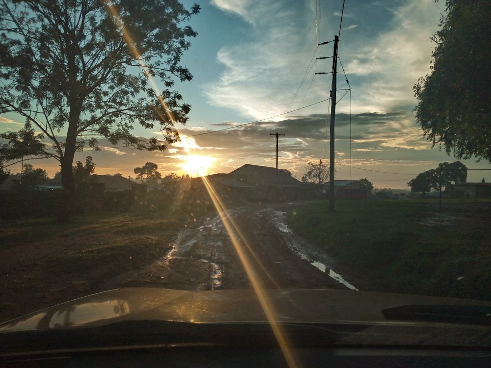 Photo #4053902