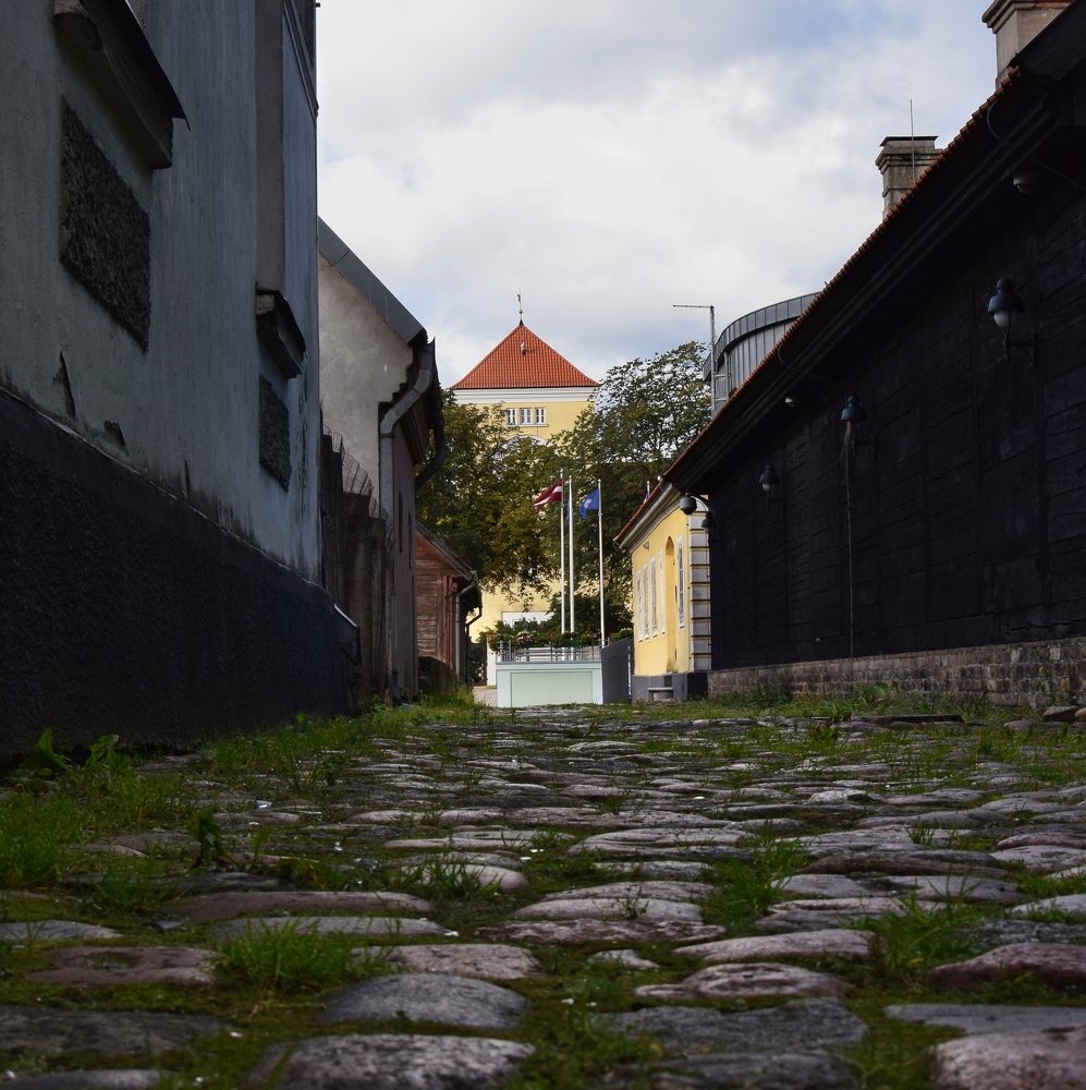 Photograph by Aleksandra Bistrova