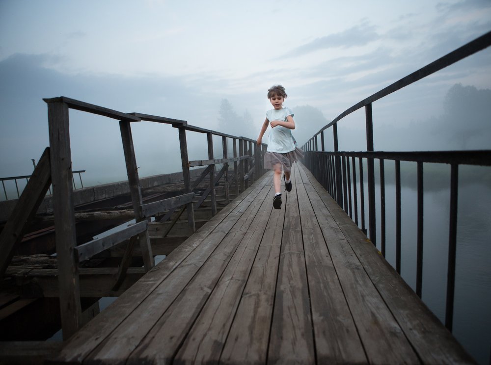 Вышел ёжик из тумана