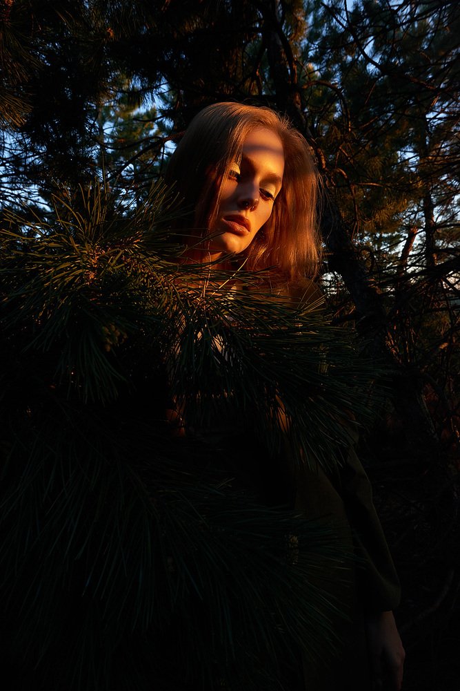 Фотография автора Ксения Долгорукова