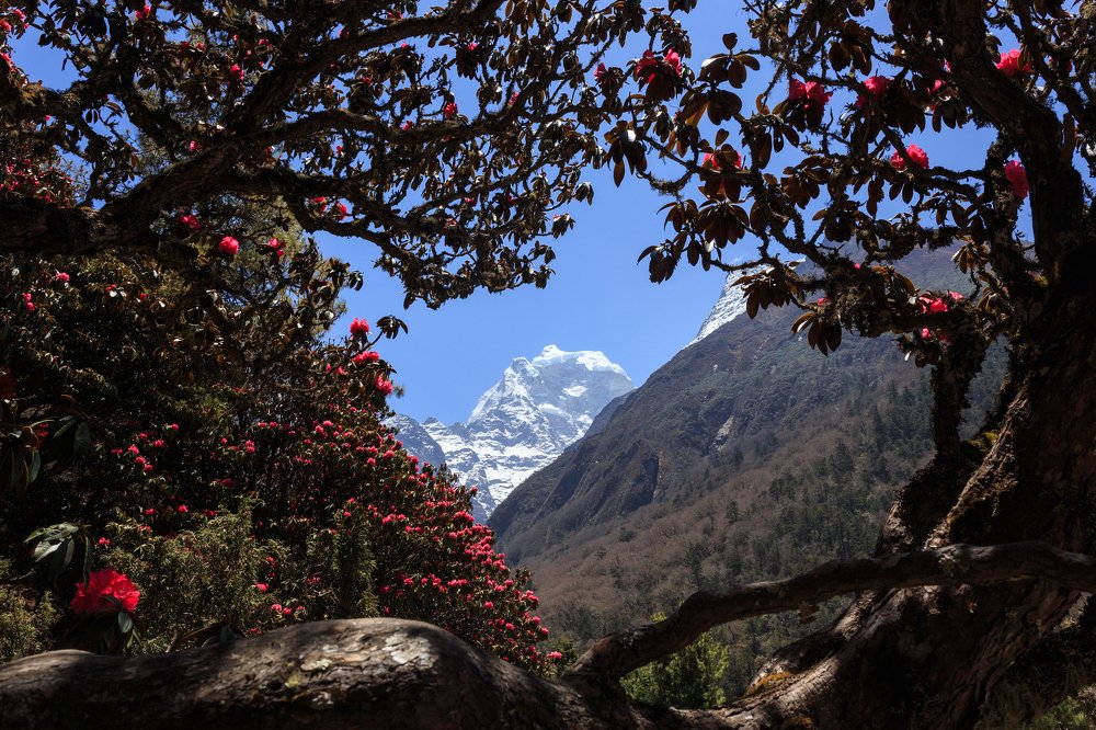 Магические Гималаи