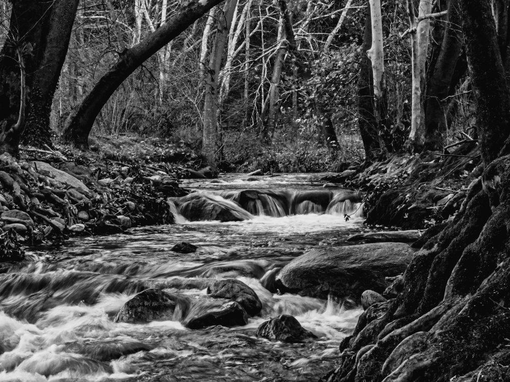 MY ART CREECE BEAUTY NATURE