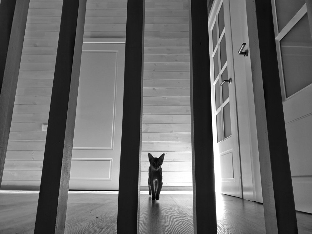 Photograph by Денис Козлов