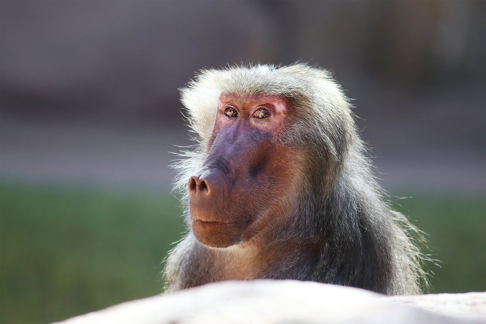 Photograph by Lana Anferow