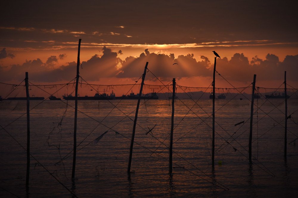 Photograph by morteza ghasemi