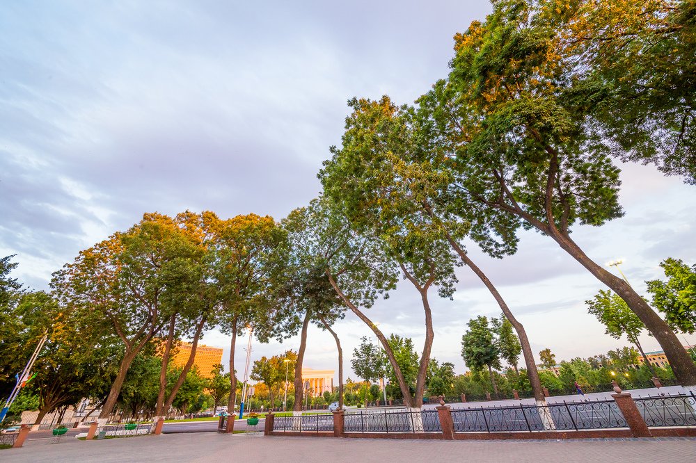 Photograph by Yuriy  Korsuntsev