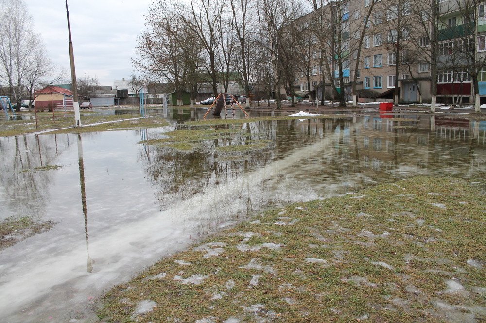 Photograph by Елена Мамай