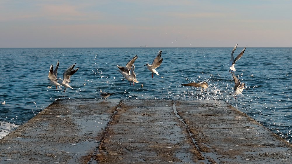 Photograph by Наталия Звиададзе