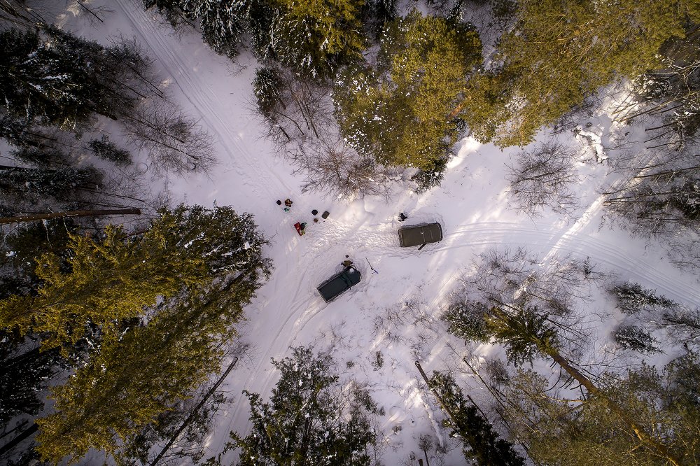 Пикник в лесу