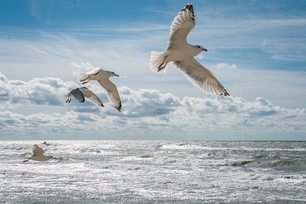 Photograph by Сергей Рубан