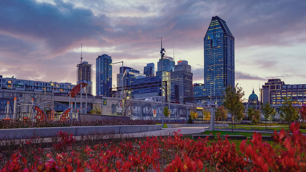 Photograph by Natalia Ghimp