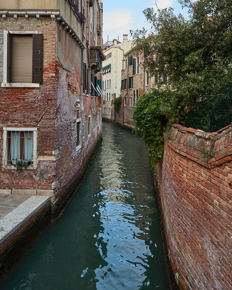 Photograph by Natalia Ghimp