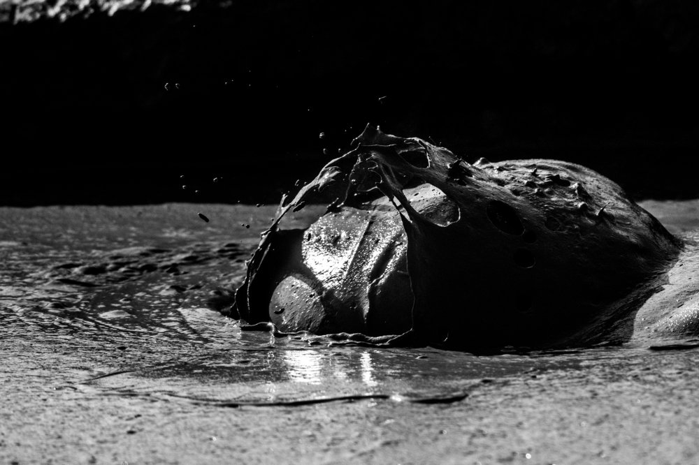 Photograph by Ovi D Pop