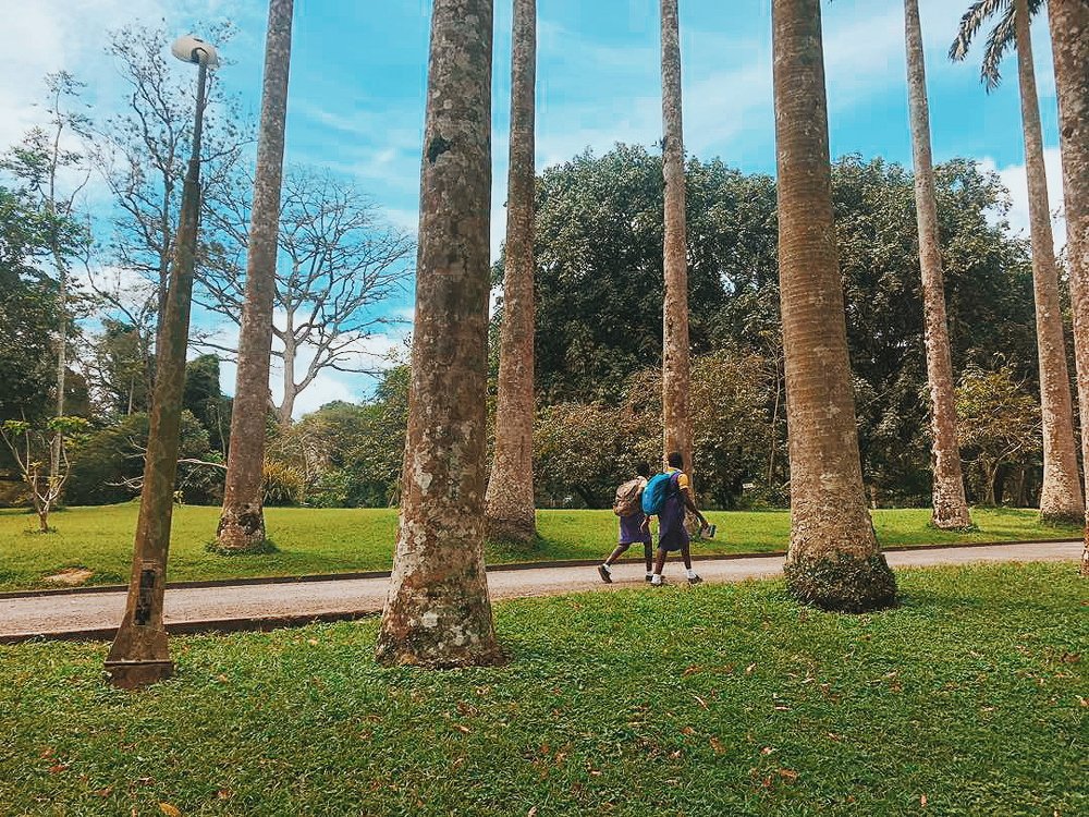 Photograph by tarimobowei