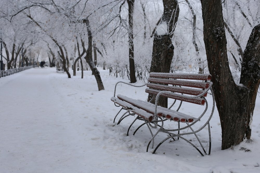 Фотография автора Шутенкова Евгения
