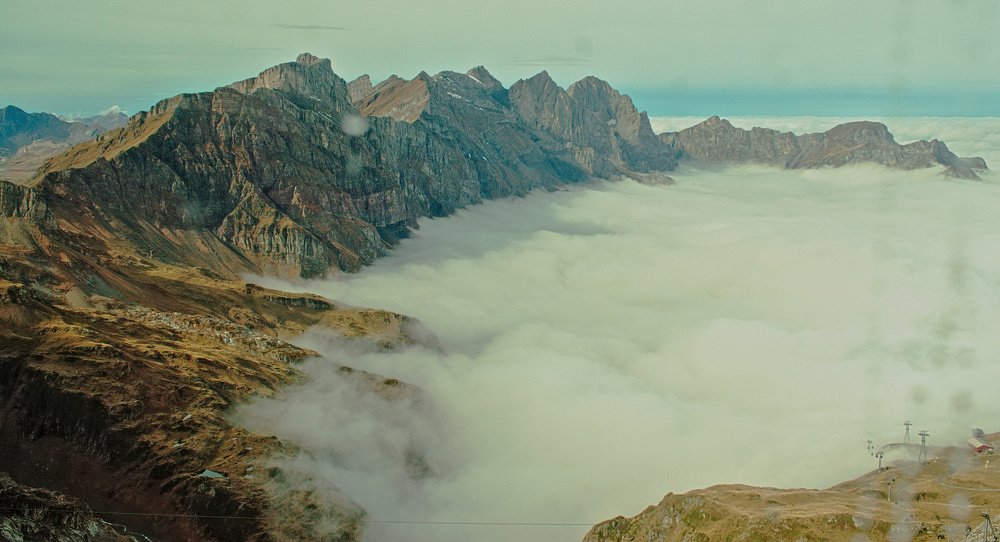 Фотография автора MANOJ MADHUSOODHANAN