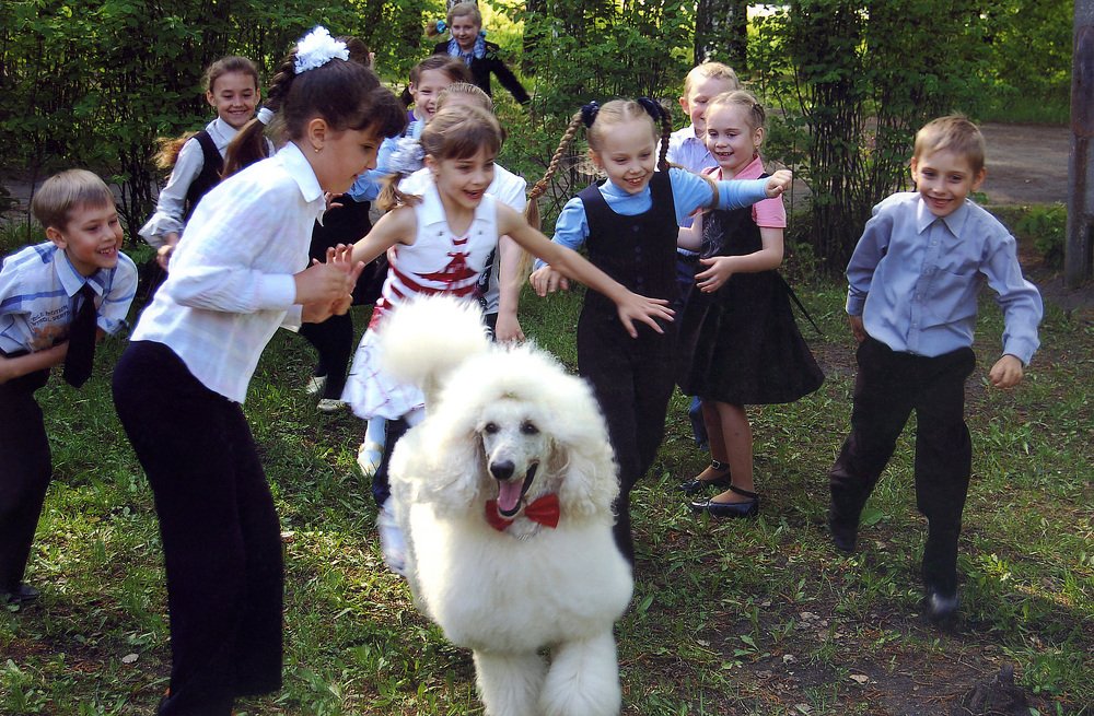 Photograph by Владимир Емельянов