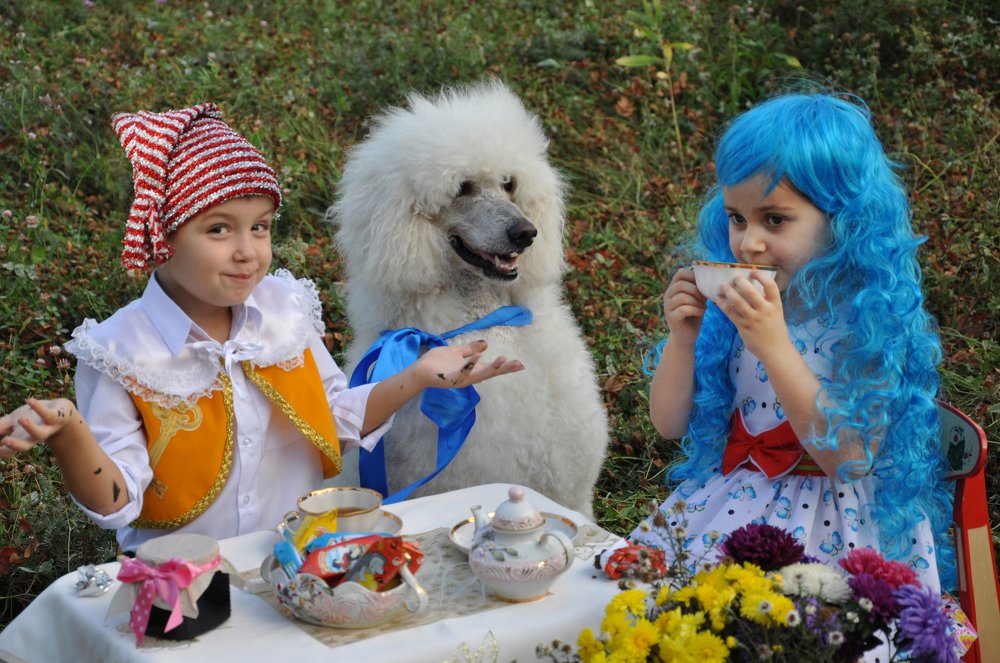 Photograph by Владимир Емельянов