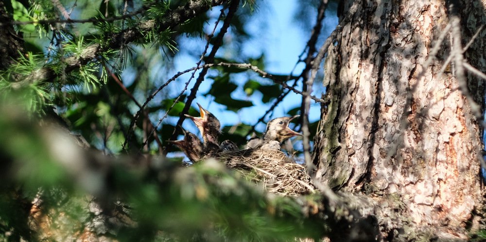 Photograph by Елена Исрафилова
