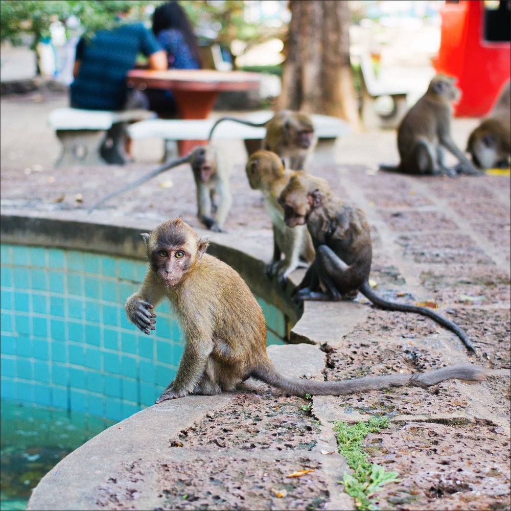 Photograph by Наталия Голованова