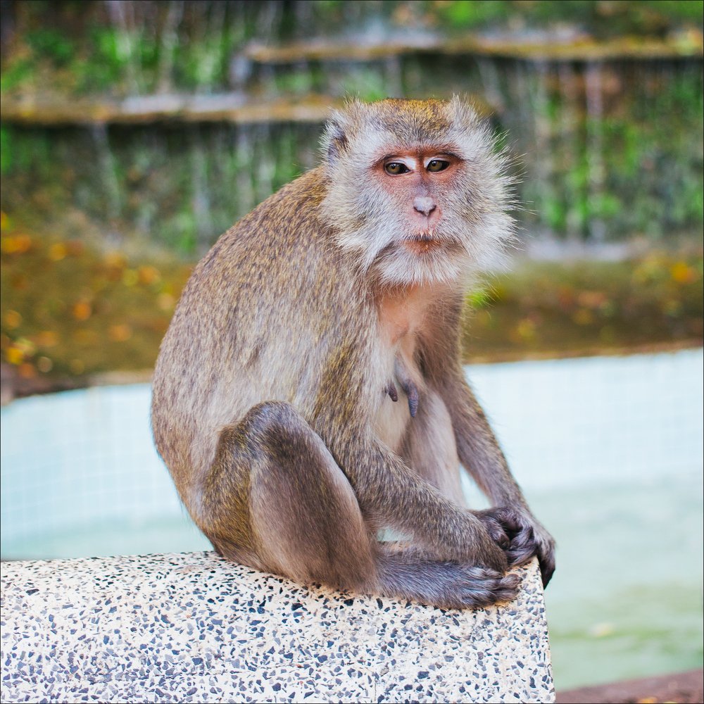 Photograph by Наталия Голованова